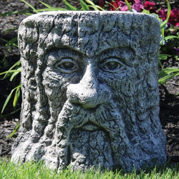 Tree Stump Woodland Face
